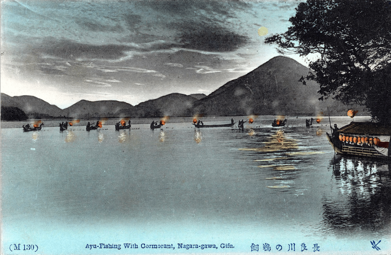 Pêche aux cormorans sur la rivière nagara, vers 1910