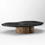 Table basse de forme libre par takanobu